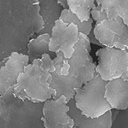 磷酸鐵鋰電池材料