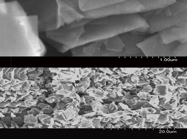高比表面積石墨烯納米粉體8nm