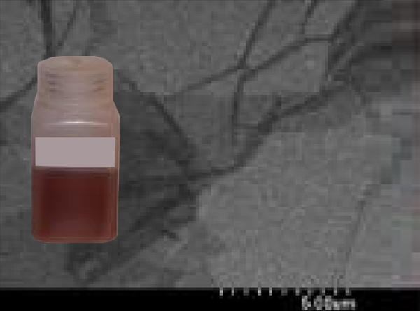 單層氧化石墨烯分散水溶液